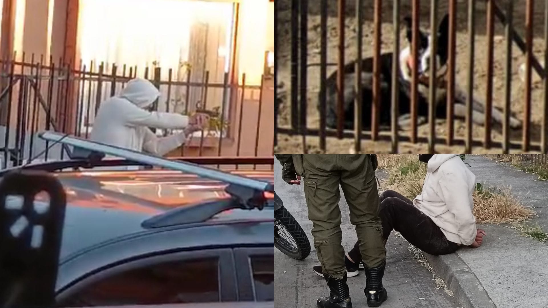Pavor y repudio contra sujeto que amenaza con arma para matar a perrito por sus ladridos en San Pedro de la Paz