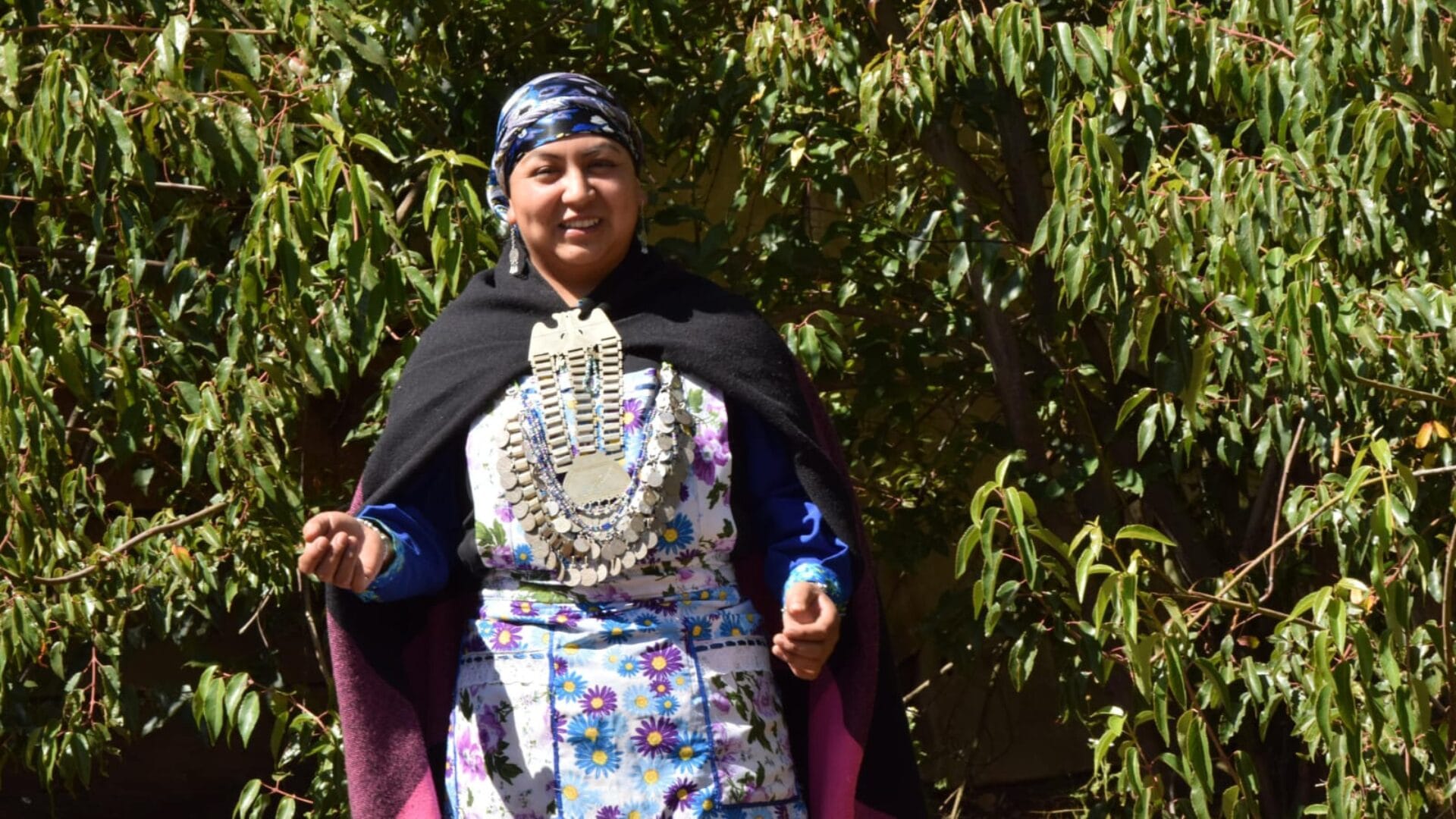 CMPC abrió predios para que se puedan recolectar hierbas y frutos: Iniciativa fomenta el uso de la medicina ancestral mapuche