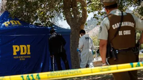 Alimentaba a perros callejeros cuando fue atacado: Lo que se sabe tras homicidio de adulto mayor en Viña del Mar