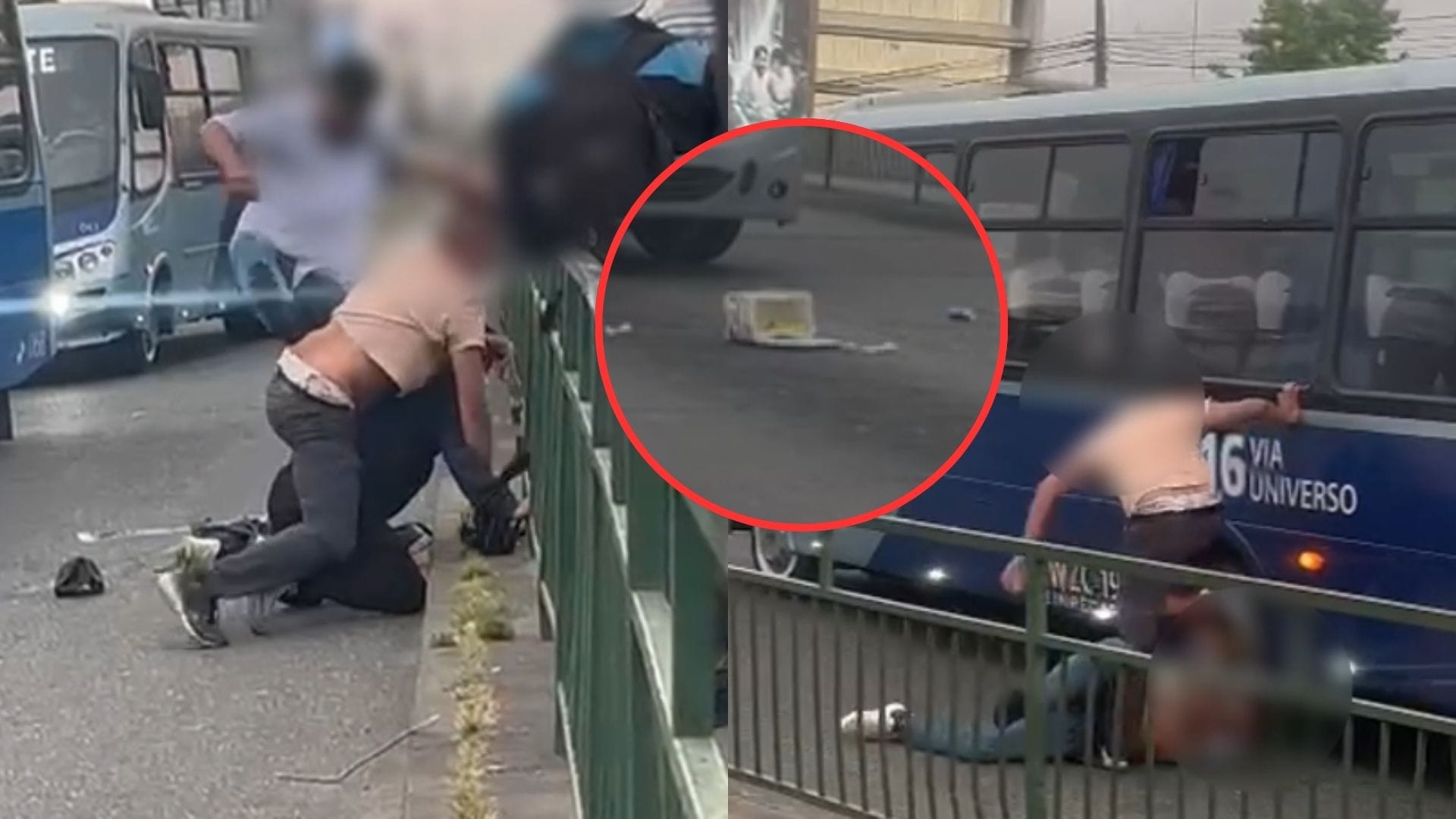 Discusión entre vendedor de helados y “sapo” de las micros termina en violenta pelea en paradero del mall en Talcahuano