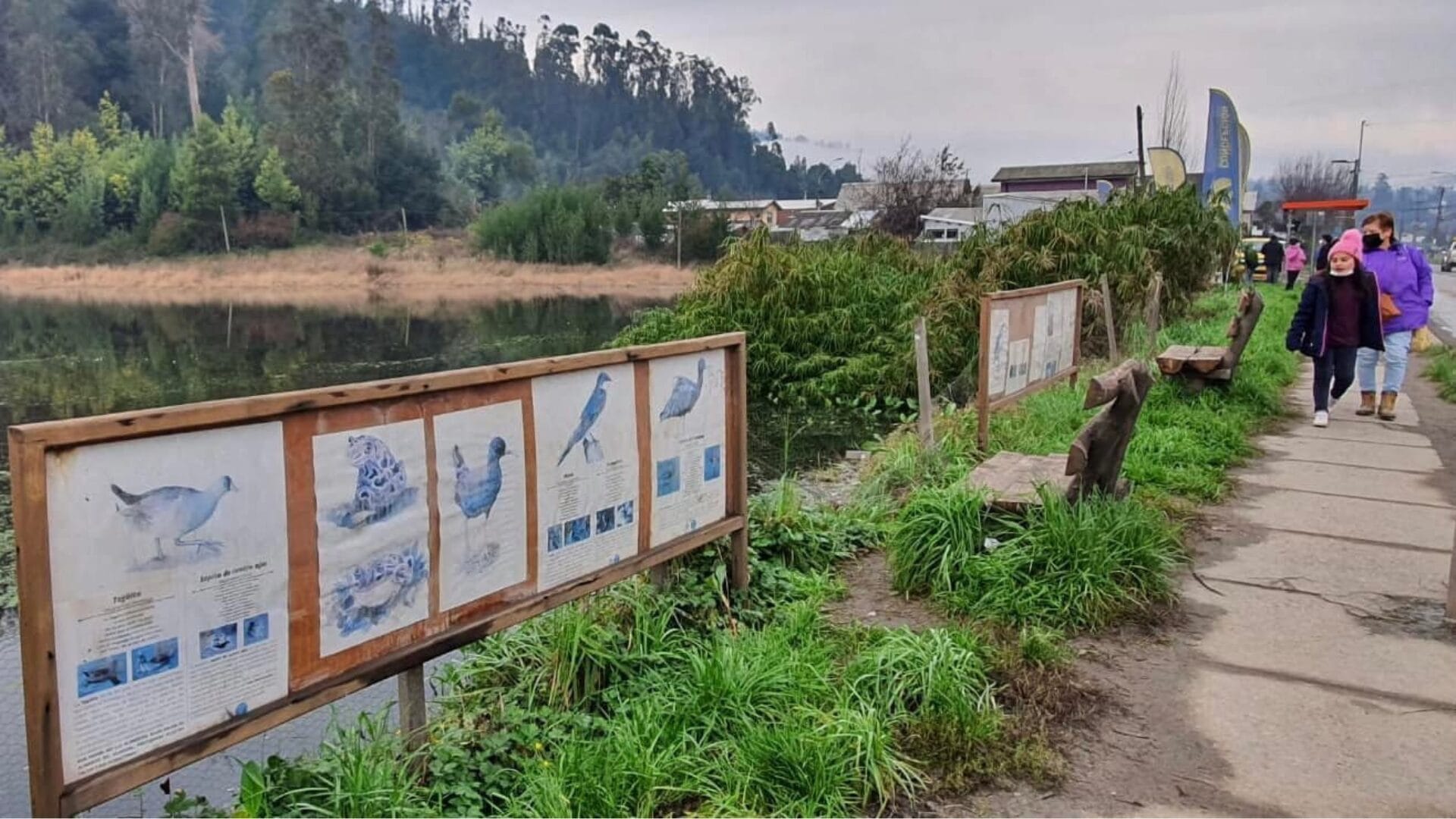 Humedal Pichimapu de Nonguén consigue resguardo del Concejo Municipal de Concepción