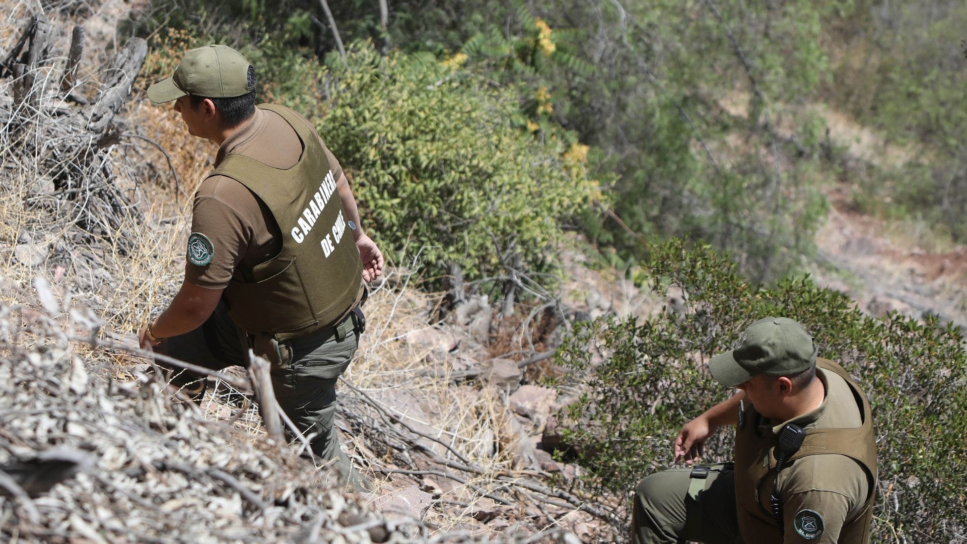 Confirman hallazgo del cuerpo de un hombre durante búsqueda de vecino desaparecido desde septiembre en Futrono