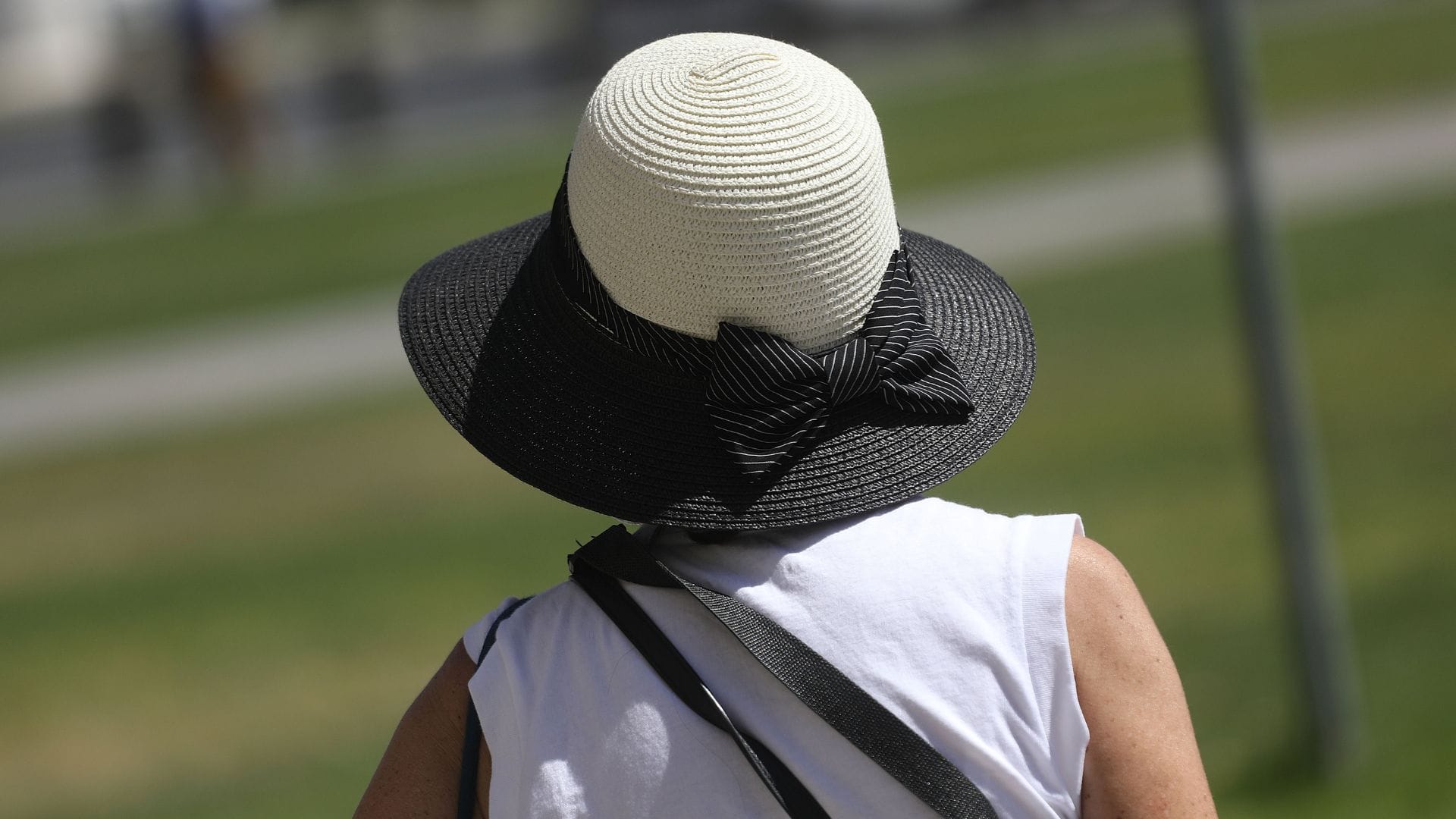Viento y alza en las temperaturas en sectores del Biobío: Así estará el tiempo este fin de semana