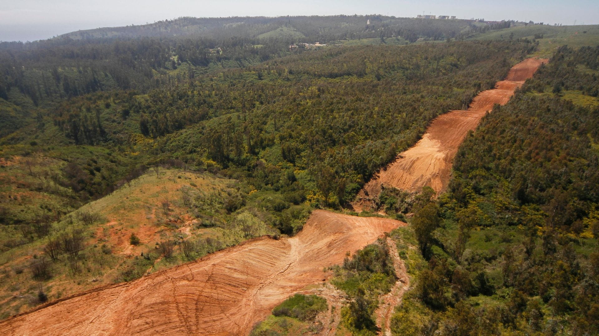Gobierno construirá casi 4 mil kilómetros de cortafuegos para prevenir incendios forestales