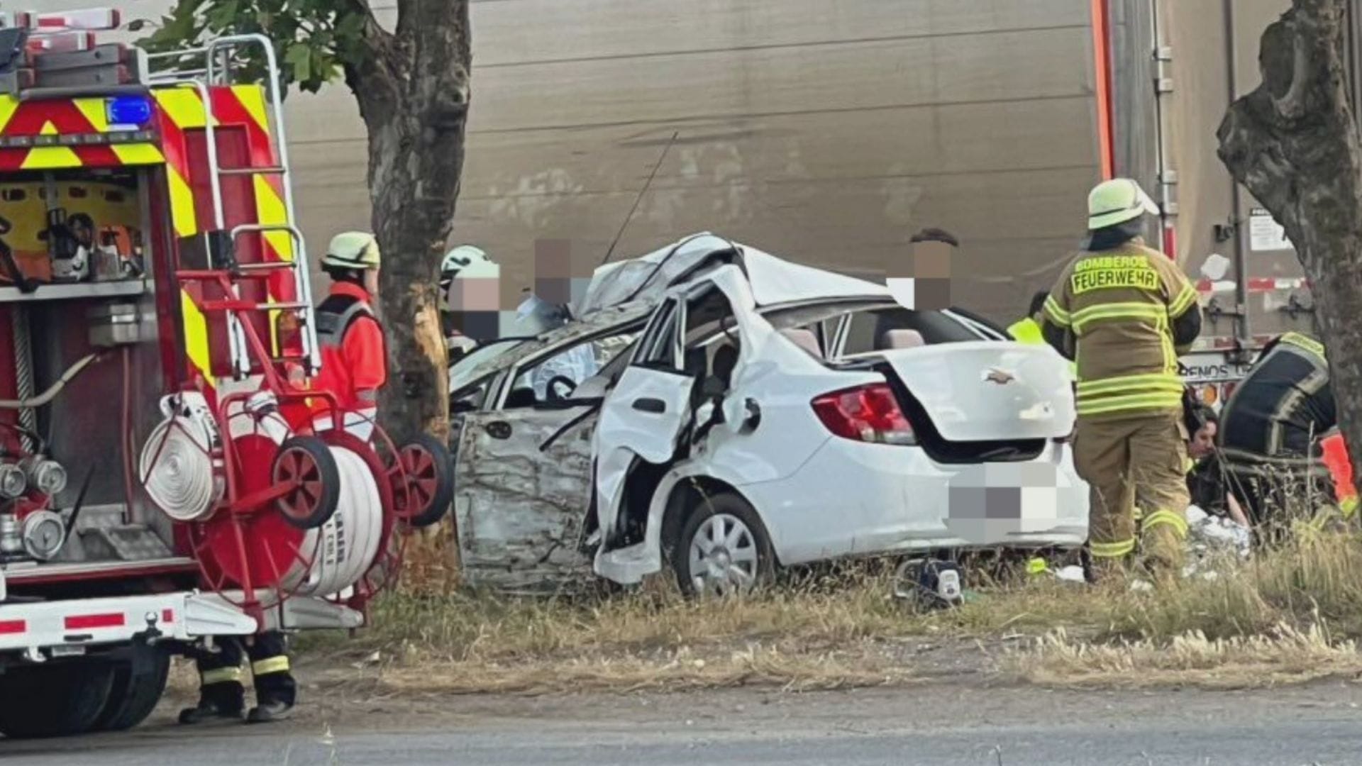 Chocó contra un árbol: Hombre de 54 años fallece tras sufrir accidente vehicular de alta energía en Talcahuano
