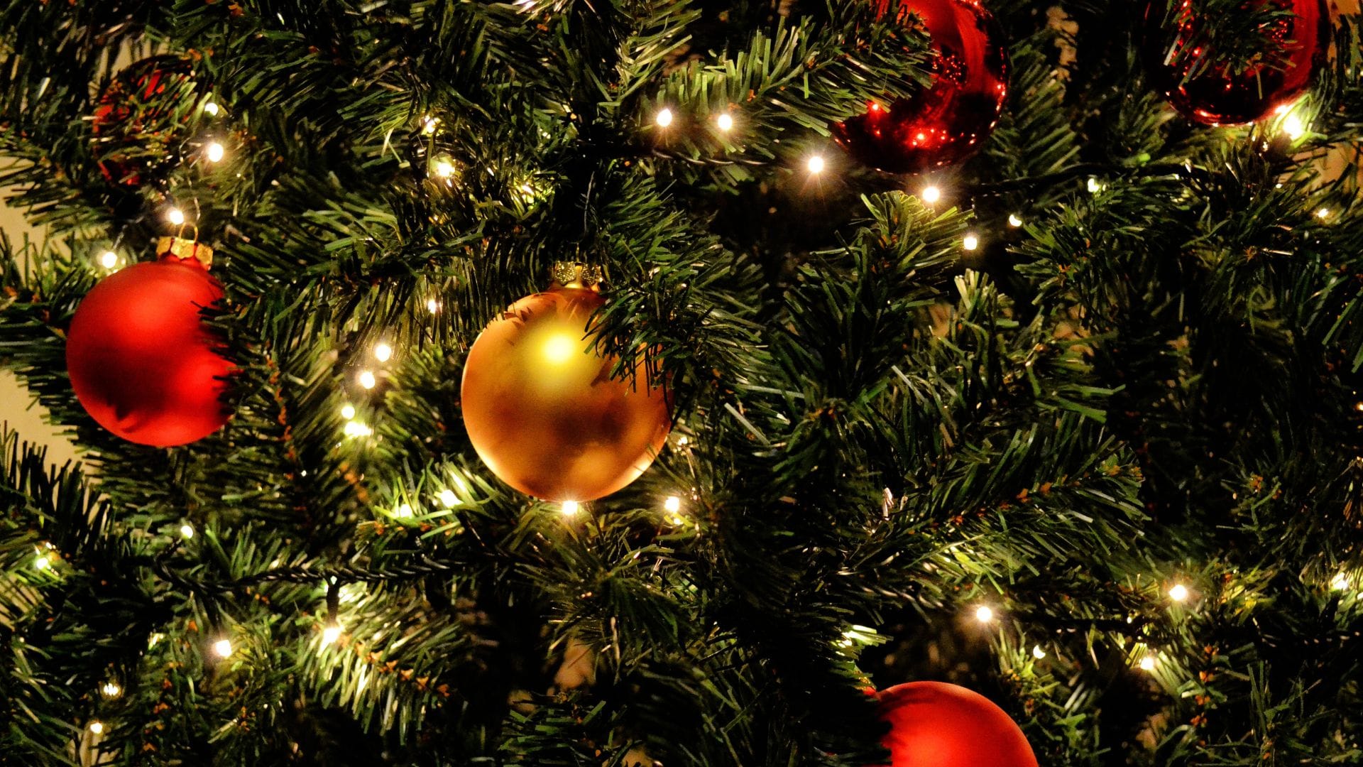 ¿Cuándo se arma y desarma el árbol de Navidad? Estas son las fechas según la tradición en Chile