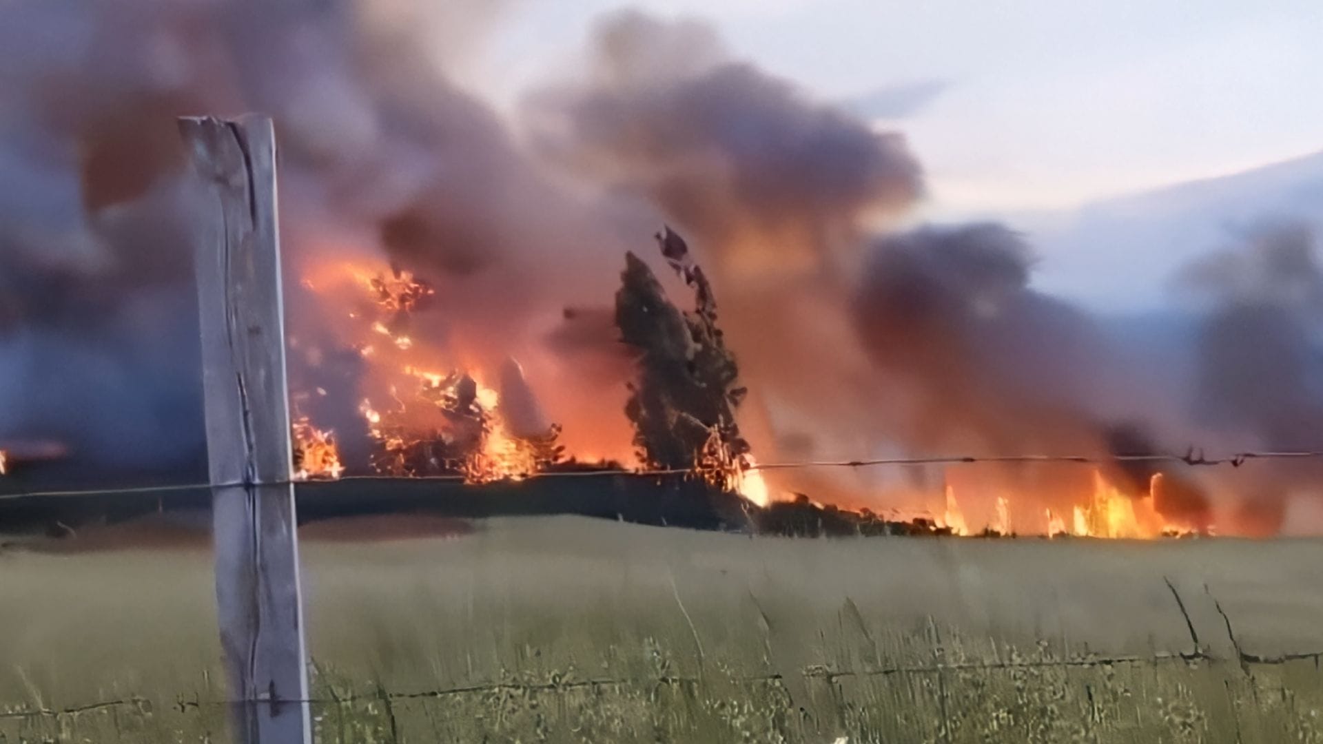 Cancelan Alerta Roja en Carahue tras controlar incendio “El Yugo”: Fuego arrasó 3,7 hectáreas