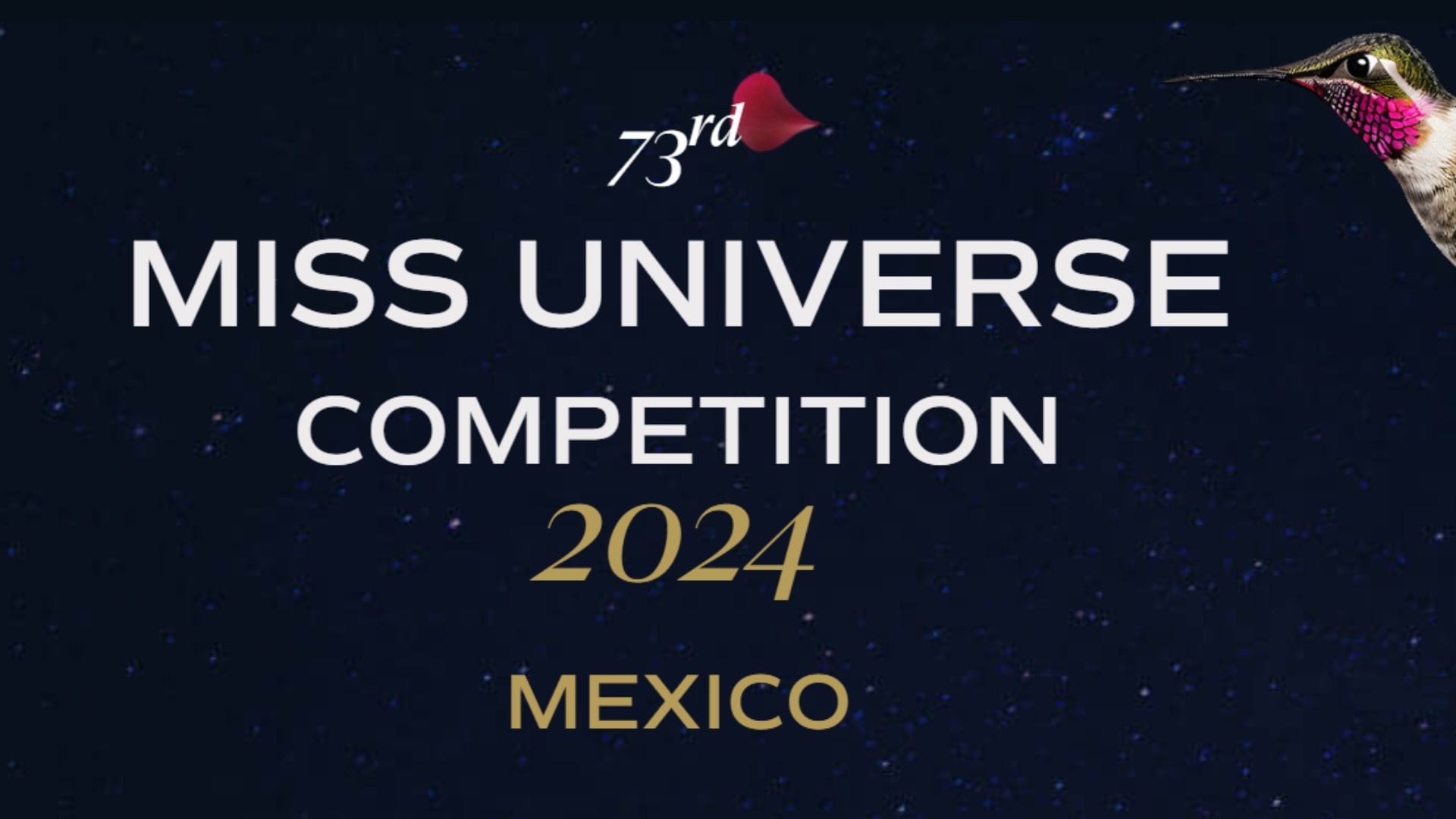 Chilena Emilia Dides llega como favorita a la final de Miss Universo 2024: ¿Dónde verla y a qué hora?