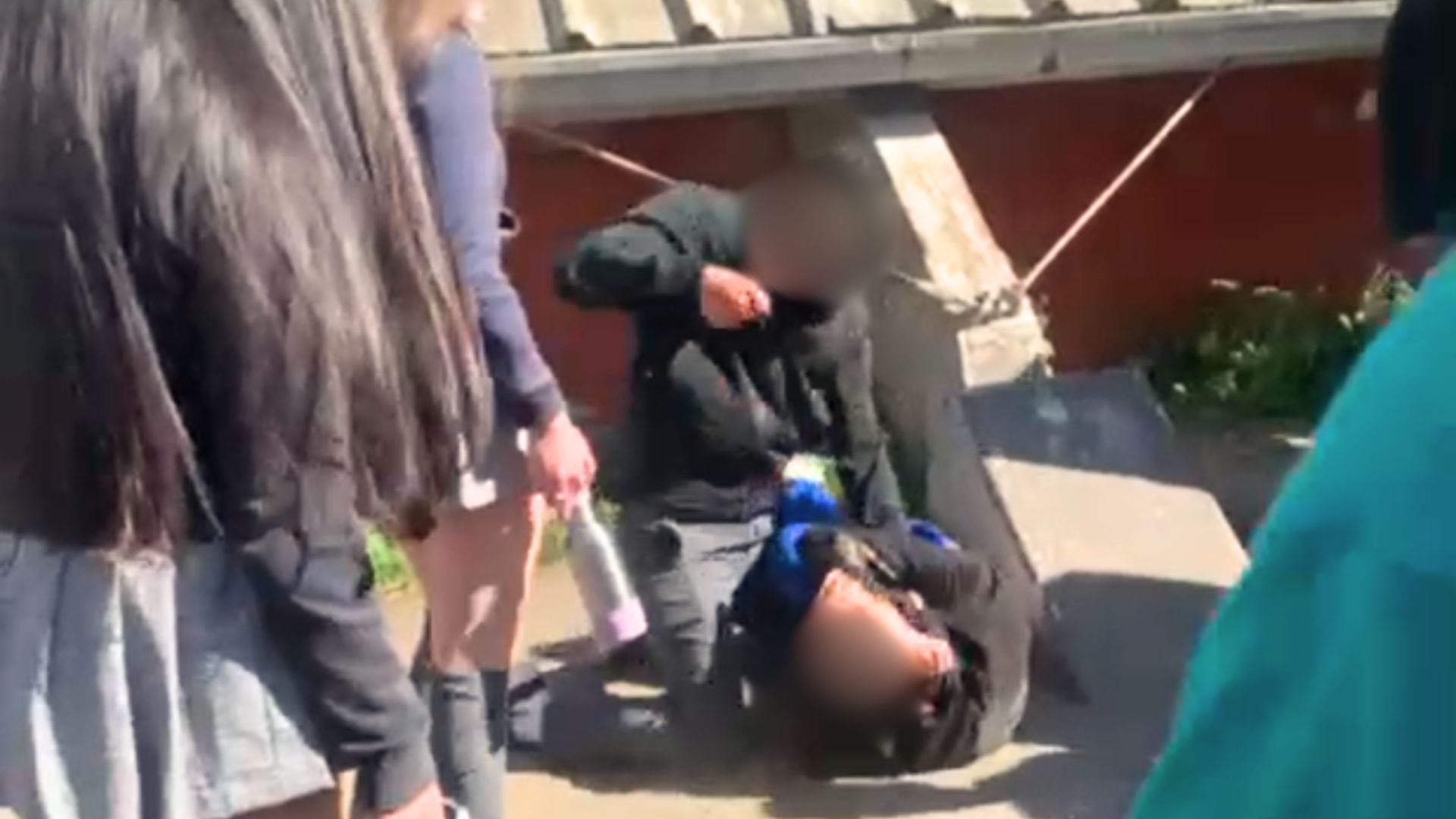Preocupación causa violenta golpiza captada en Colegio Brasil de Concepción: Tomaron medidas