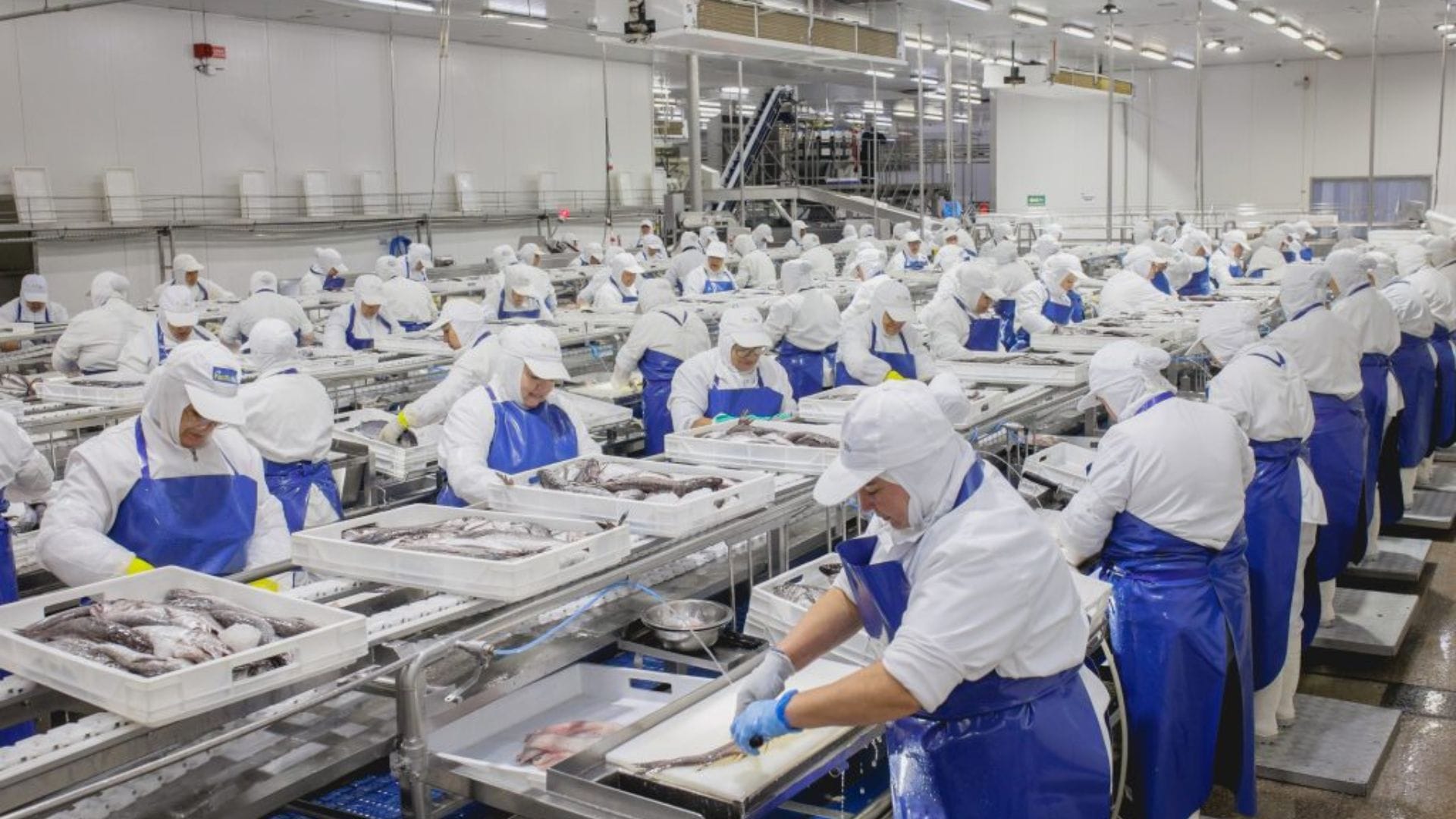 Zenaida Reyes Dirigenta de trabajadores de la pesca industrial: Los parlamentarios nos dieron la espalda