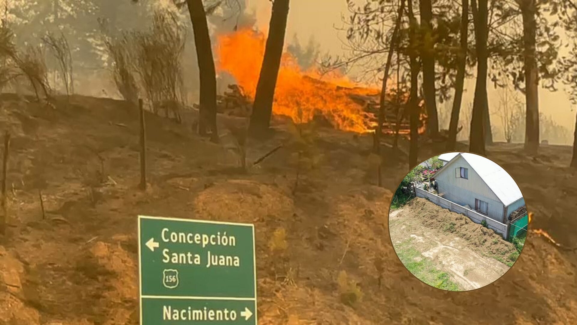 Plan de Emergencia vigente y múltiples cortafuegos: Santa Juana se prepara ante una eventual temporada de incendios