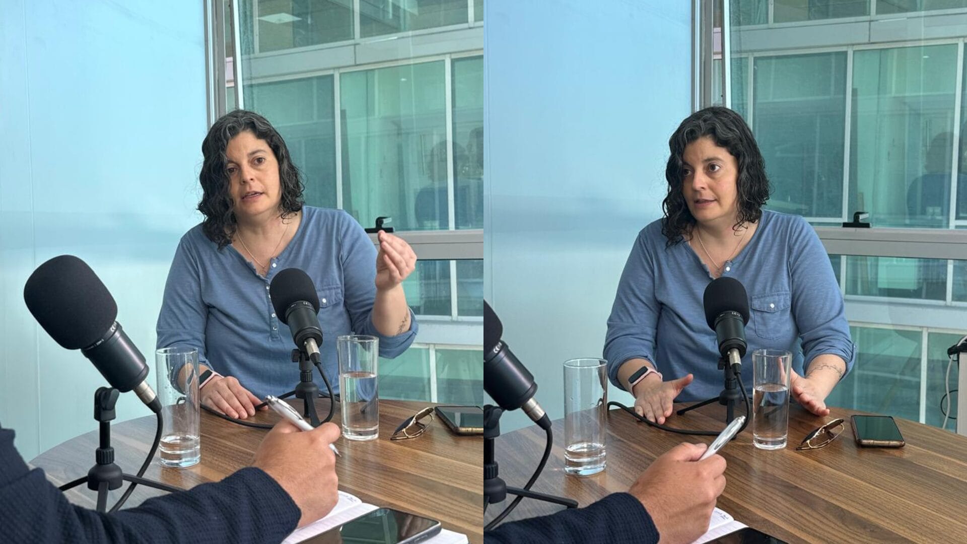 “Estamos en guerra con el crimen organizado”: Daniela Dresdner y su reflexión como ex delegada presidencial del Biobío