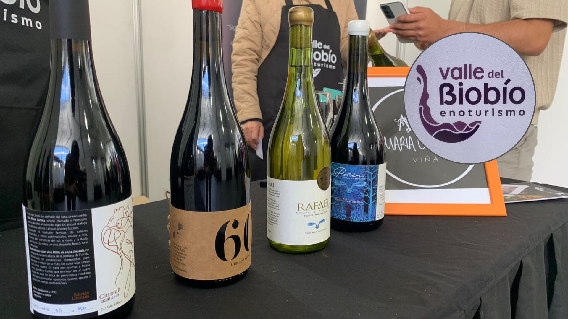 Inauguran Feria Vinos y Turismo del Valle del Biobío en la explanada de Tribunales de Concepción