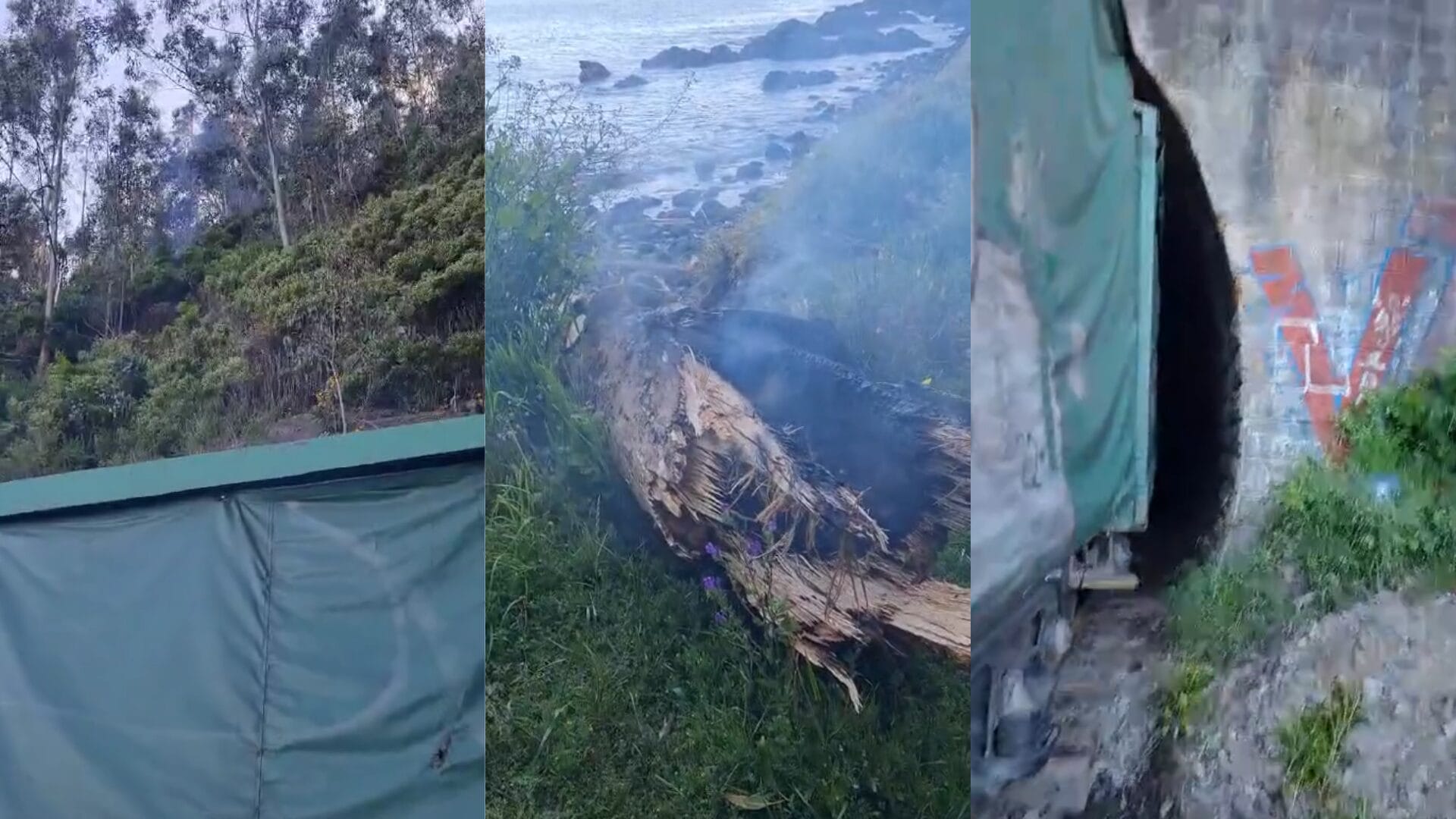 Árbol cae sobre tren de carga en sector Chivilingo de Lota