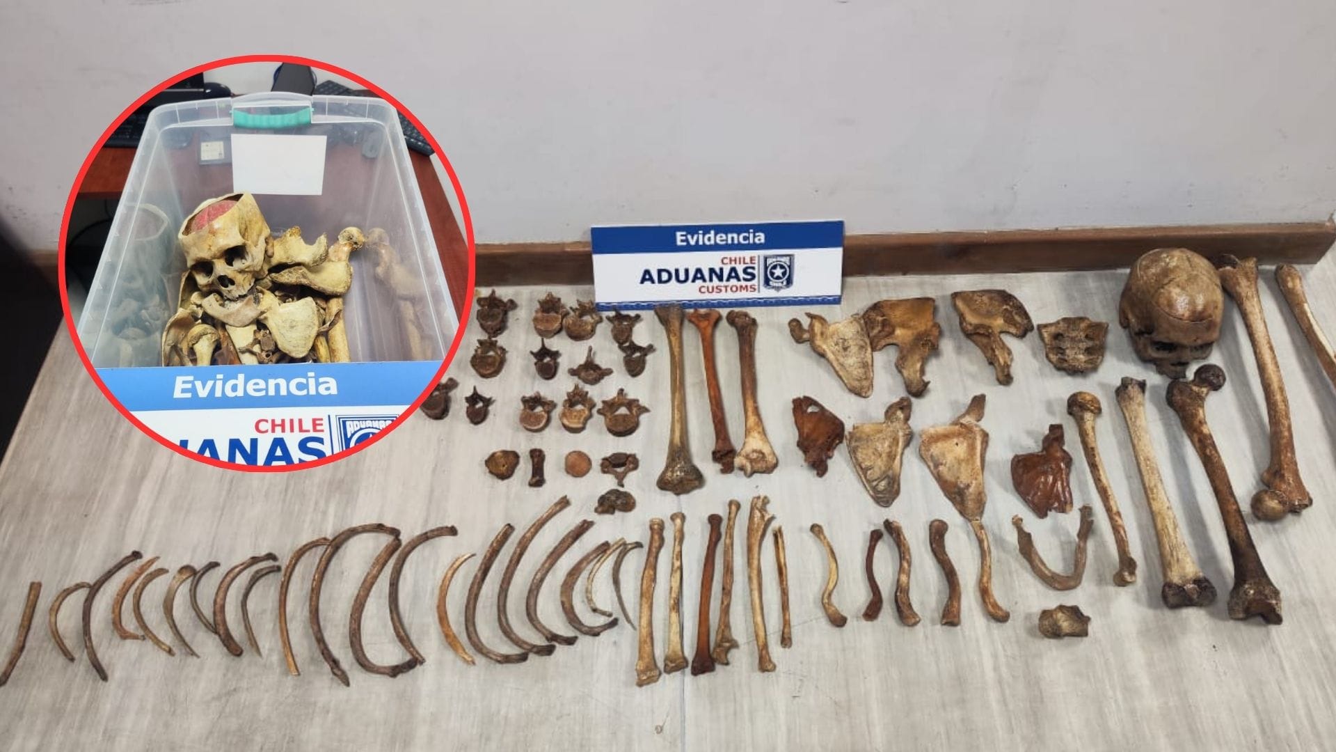 Detienen a ciudadana extranjera en el Paso Pehuenche tras encontrar restos humanos al interior de su vehículo