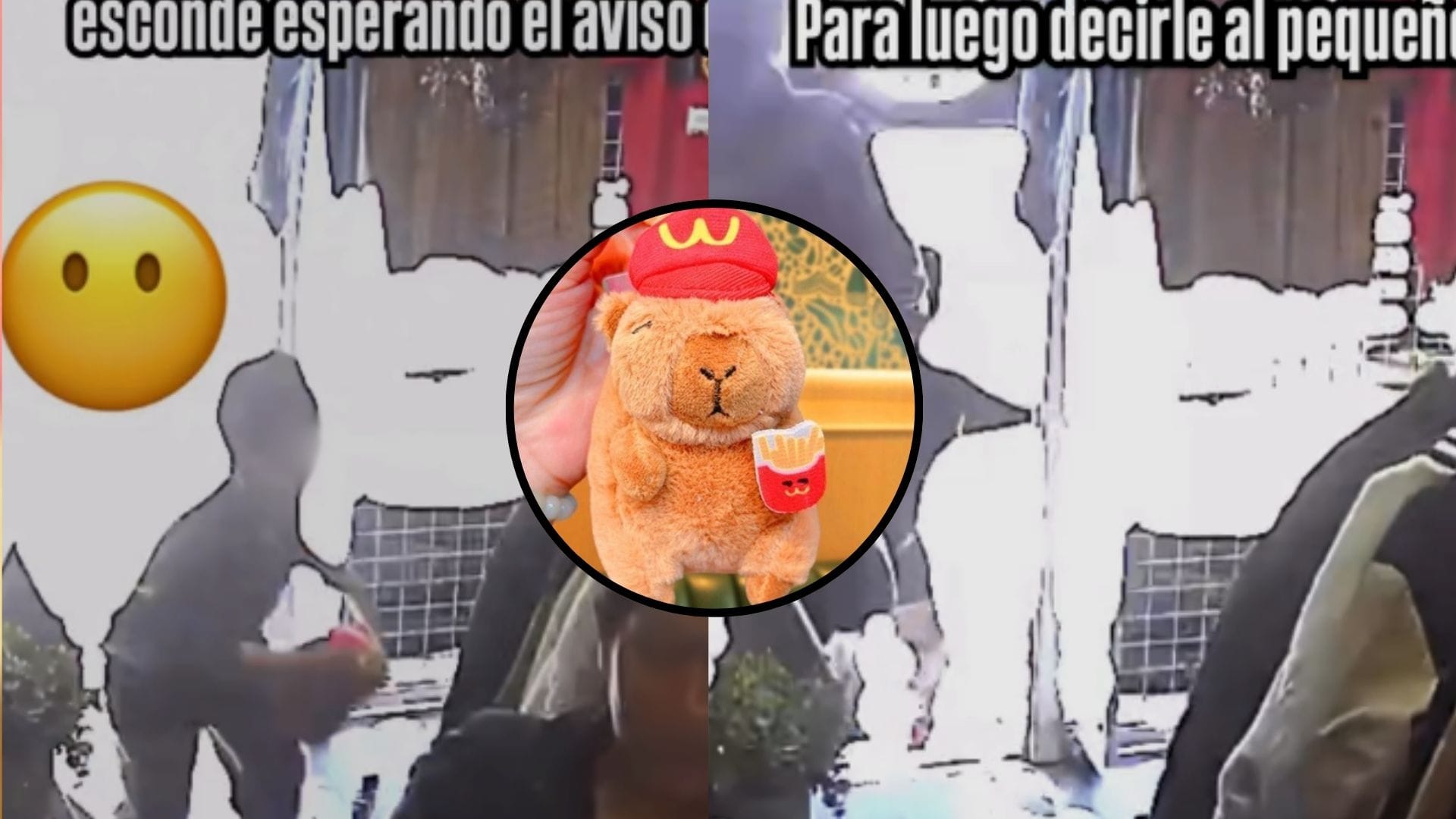 “Super mamá” llevó a su hijo a robar capibara, el juguete más deseado esta navidad en Concepción