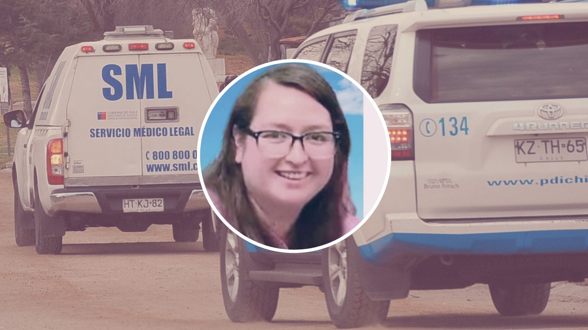 Rescatando un gatito: PDI detalla fatal accidente de joven madre en plena Navidad en el Gran Concepción