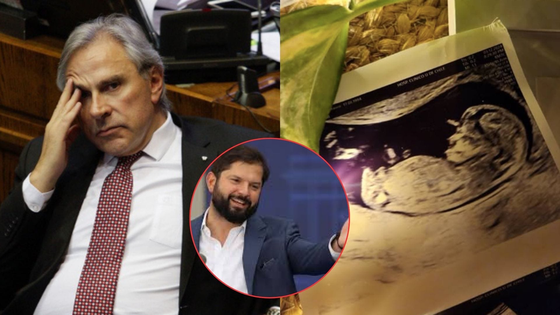Felicitaciones y críticas sobre su postura sobre el aborto: Estas son las reacciones que dejó el bebé en camino del Presidente Boric