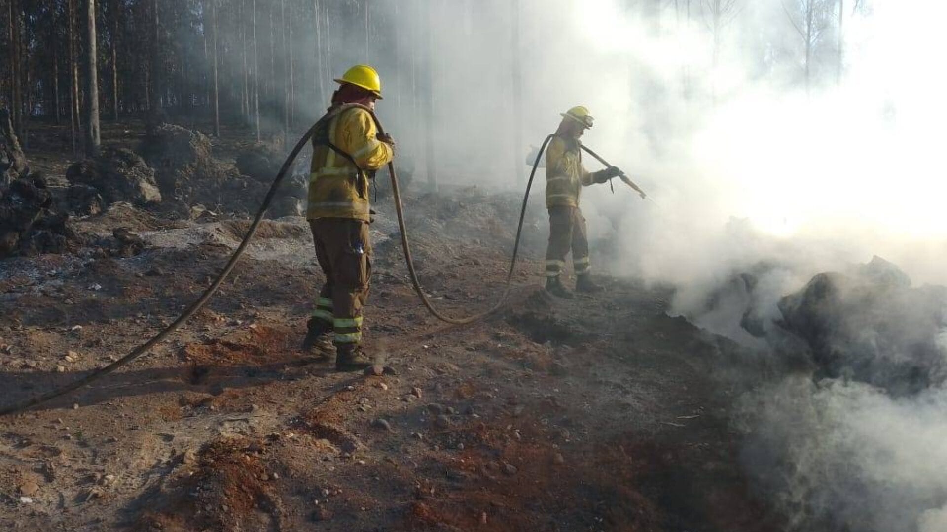 Activan Botón Rojo en la Región del Biobío: Estas son las comunas que están con esa condición
