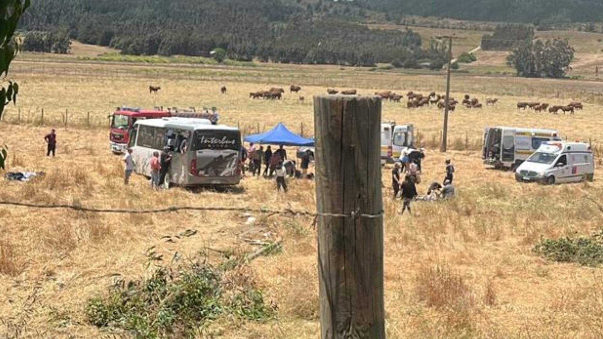 Bus con 28 alumnos se volcó en sector de Boyeruca: Iban a paseo de fin de año