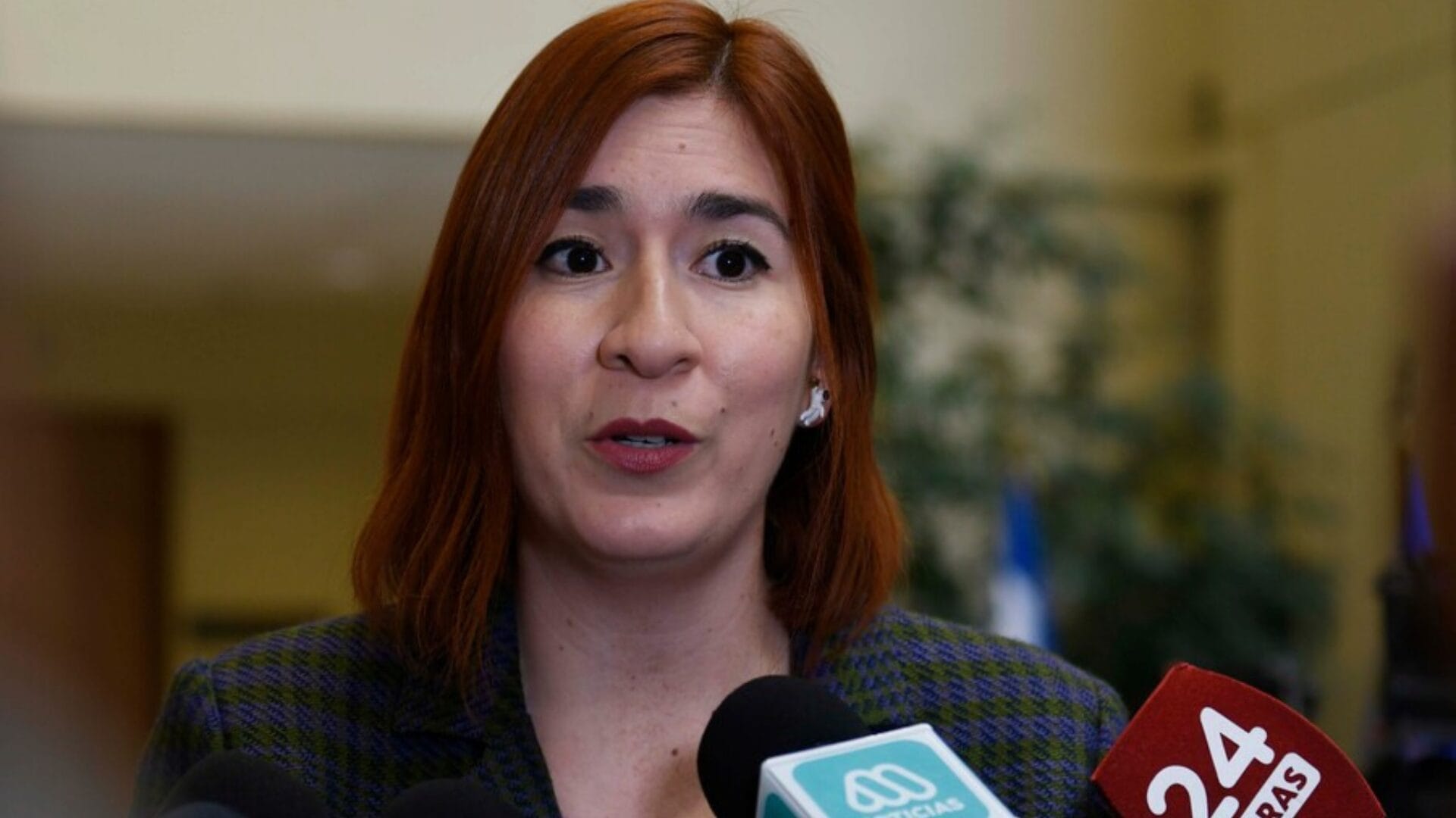 Las razones por la que buscan el desafuero de diputada Catalina Pérez por Democracia Viva