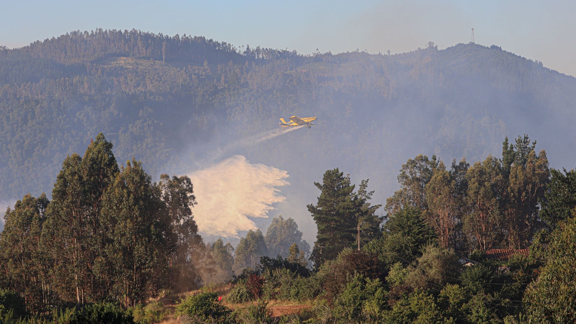 Informan que Incendio en Hualqui “no tiene avance”: “Aproximadamente se quemaron 100 hectáreas de vegetación”