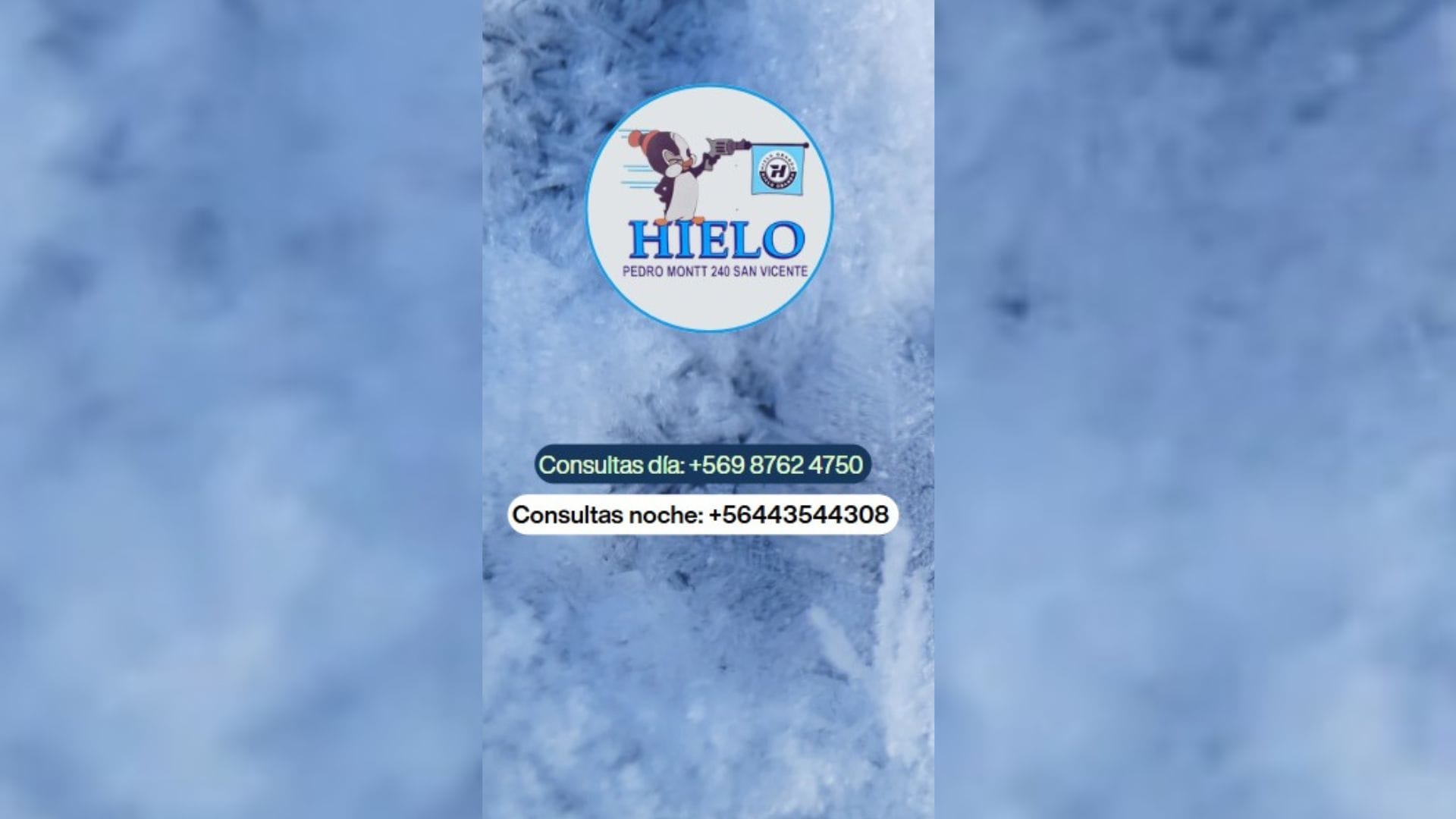 Hielo en escamas Obando en Talcahuano: Una alternativa para combatir el calor y mantener cadena de frío de alimentos