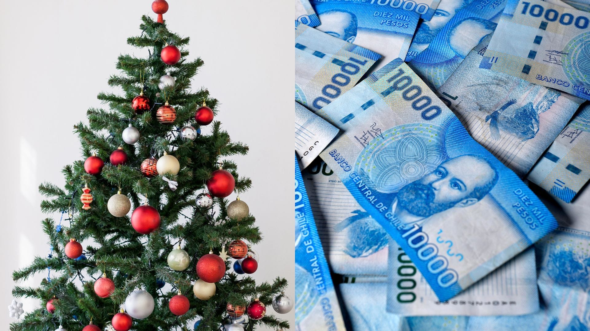 Comenzó pago del Aguinaldo de Navidad 2024: Revisa aquí con tu RUT cuándo lo recibirás y el monto
