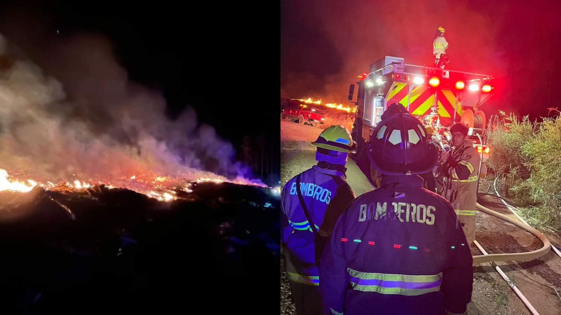 Incendio forestal con amenaza al Parque Nacional Nonguén obligó a declarar alerta roja comunal en Chiguayante