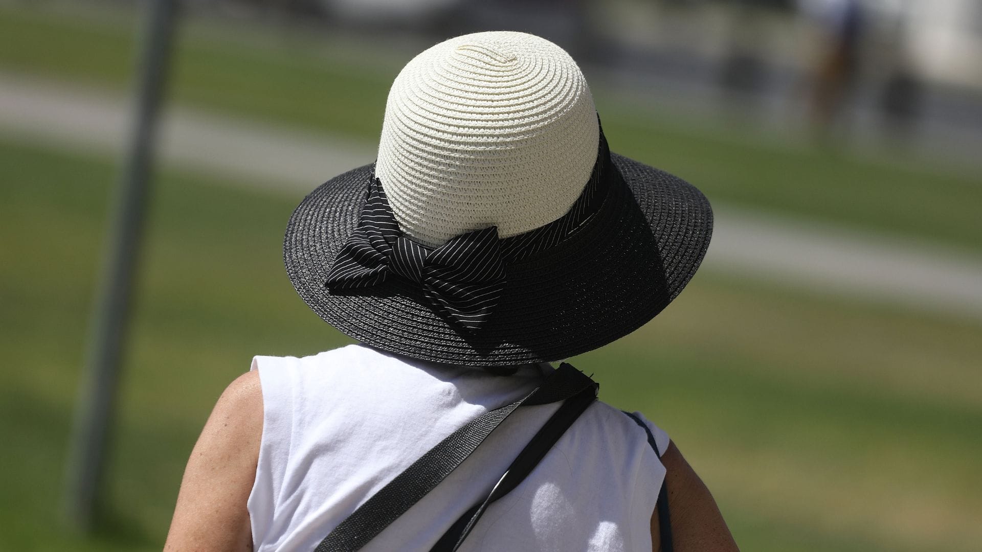 Emiten aviso por pronóstico de altas temperaturas en sectores del centro sur de Chile: Estas son las zonas afectadas