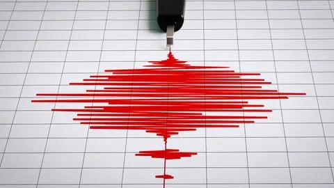 Fuerte temblor se registra al sur de Puerto Williams: SHOA descartó tsunami en Chile