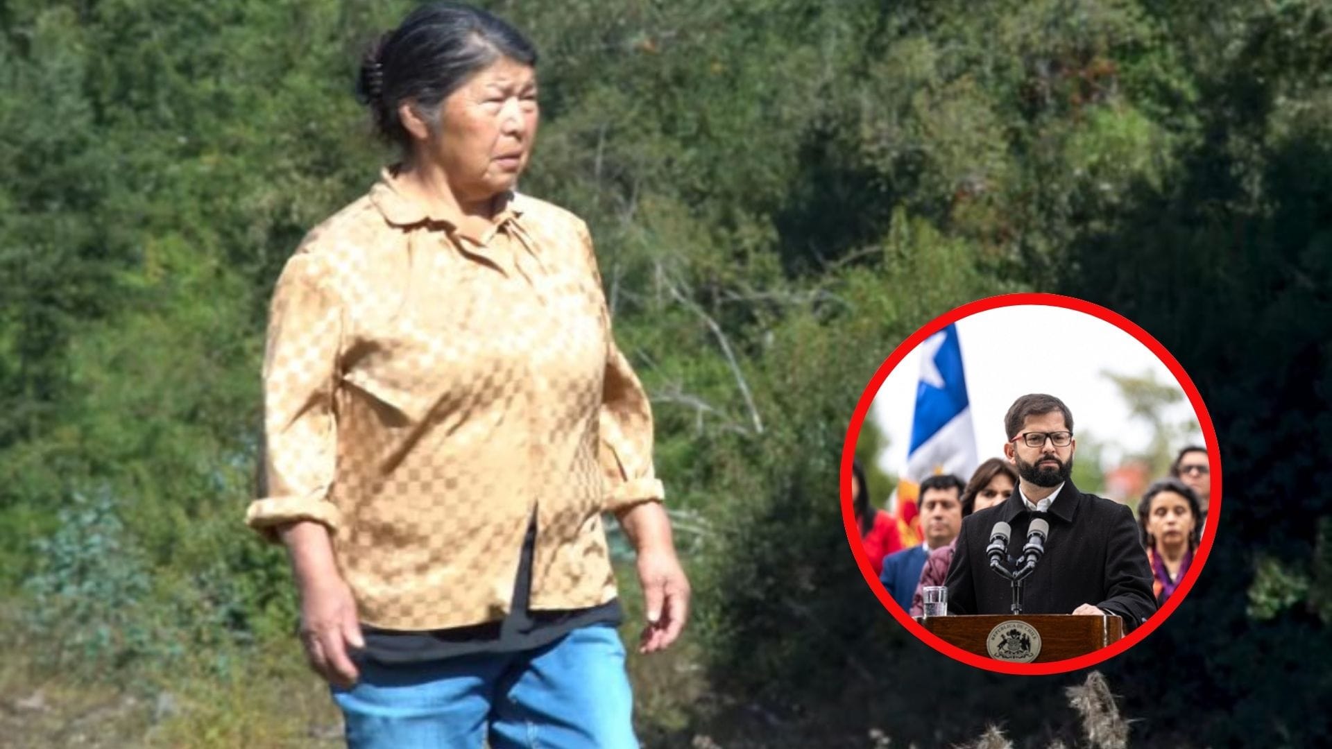Preocupación presidencial por caso de Julia Chuñil: La defensora ambiental de Los Ríos cumplió un mes desaparecida