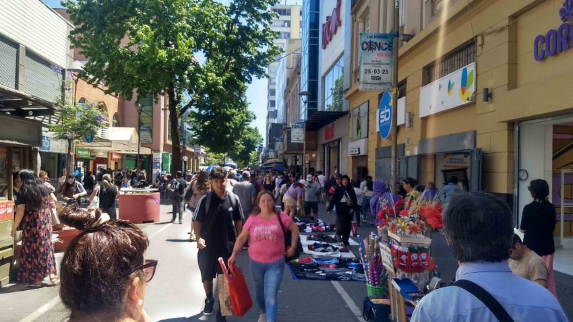 ¡Aún hay tiempo!: Estos son los horarios para el comercio el fin de semana previo a Navidad en Concepción