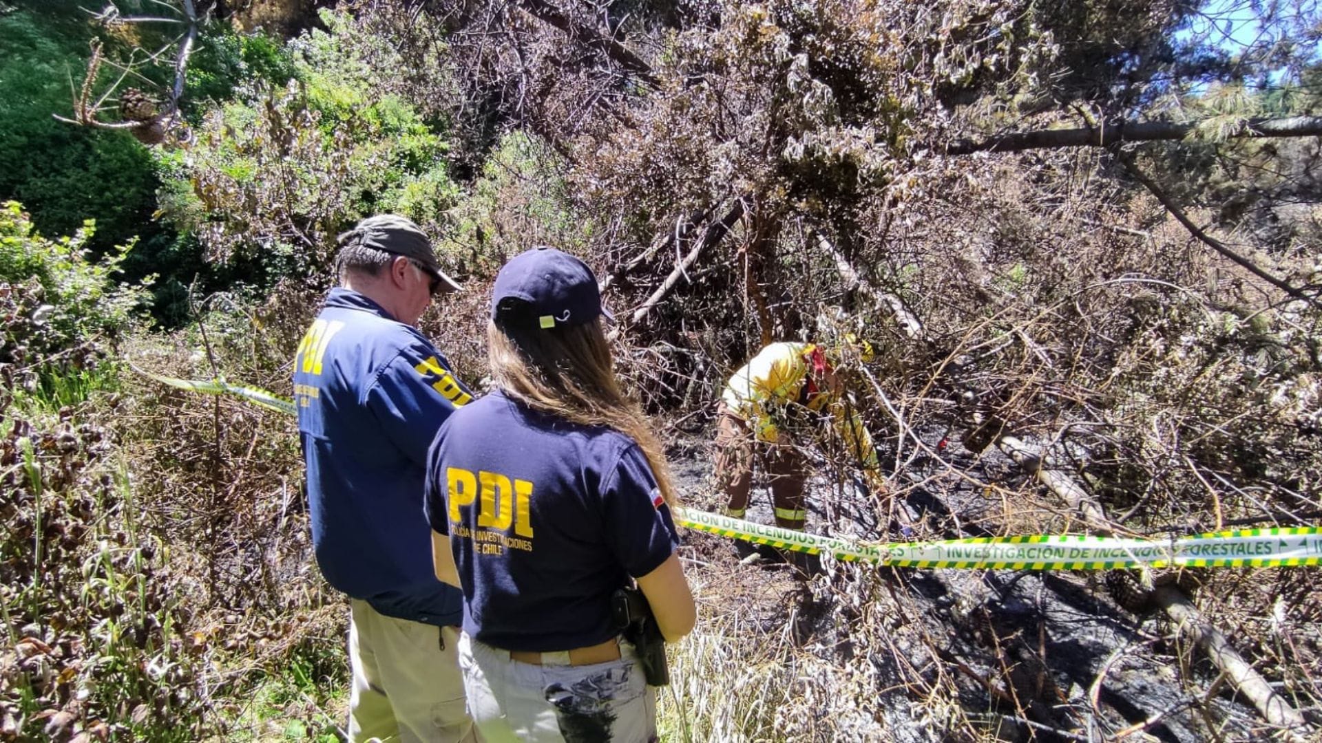 Corma cuestiona poca efectividad de la justicia tras querellas por incendios forestales en el Biobío