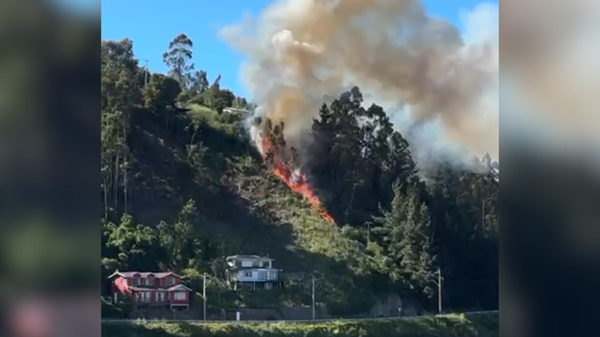 Declaran Alerta Roja en Tomé por incendio forestal: Fuego está a metros de viviendas