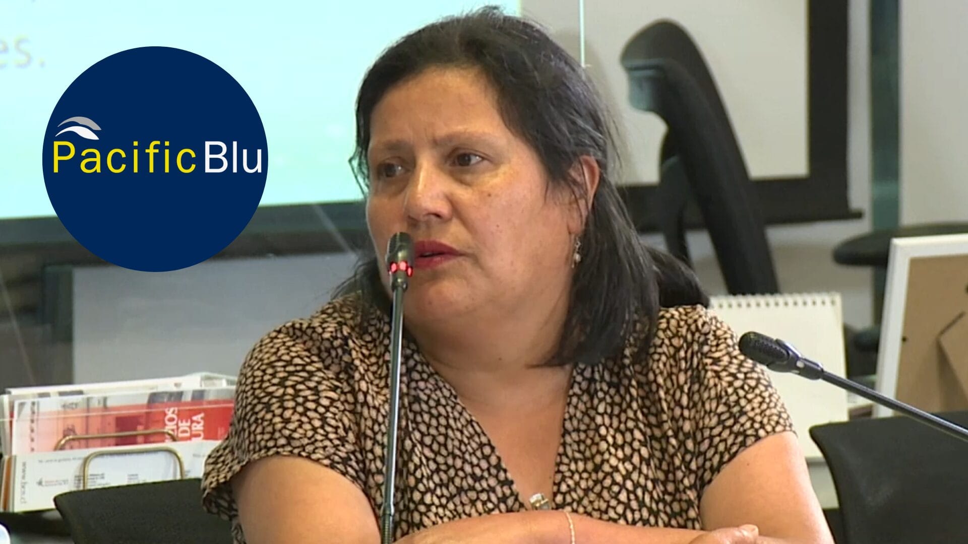 El emotivo testimonio de la operaria de PacificBlu frente a senadores de la Comisión de Pesca del Senado