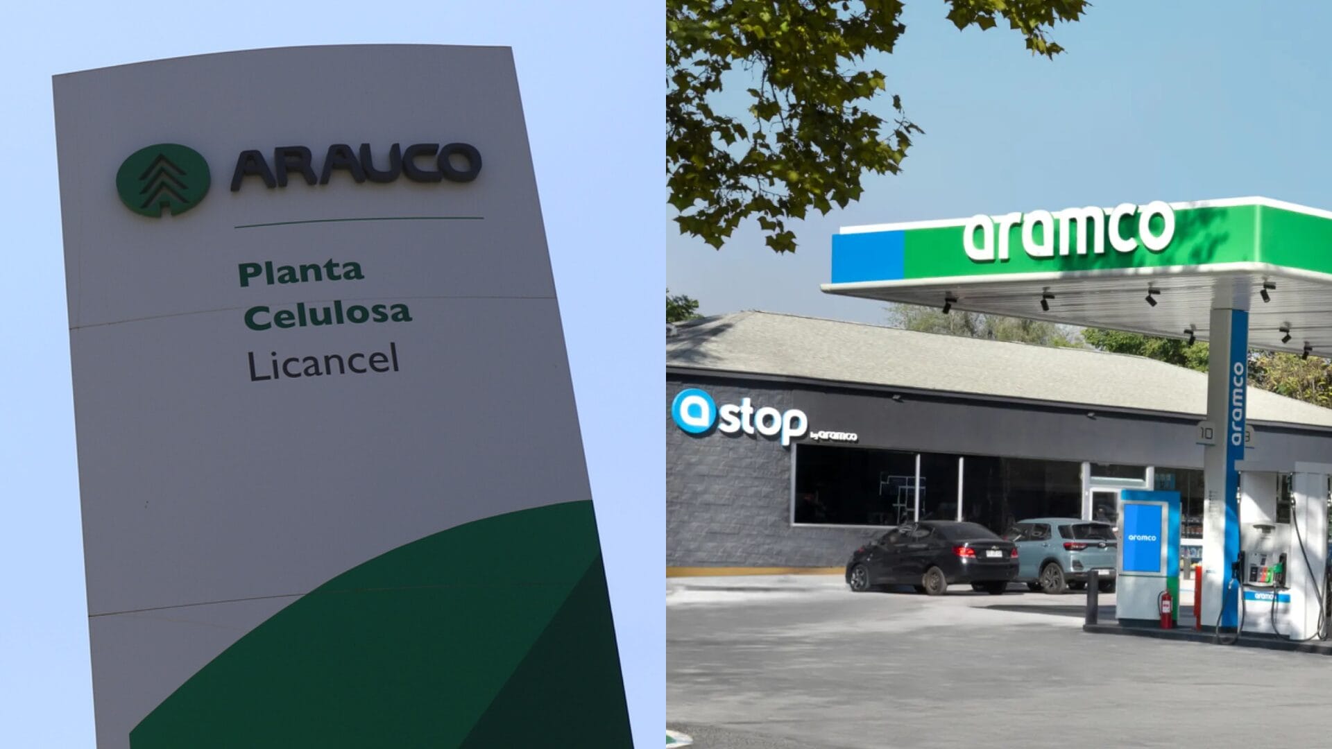Arauco versus Aramco: Forestal busca frenar el registro de la marca gasolinera en Chile