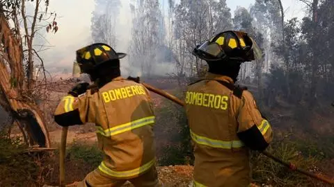 Declaran Alerta Roja en Tucapel por incendio forestal “Las Lomas”: Ha consumido 60 hectáreas