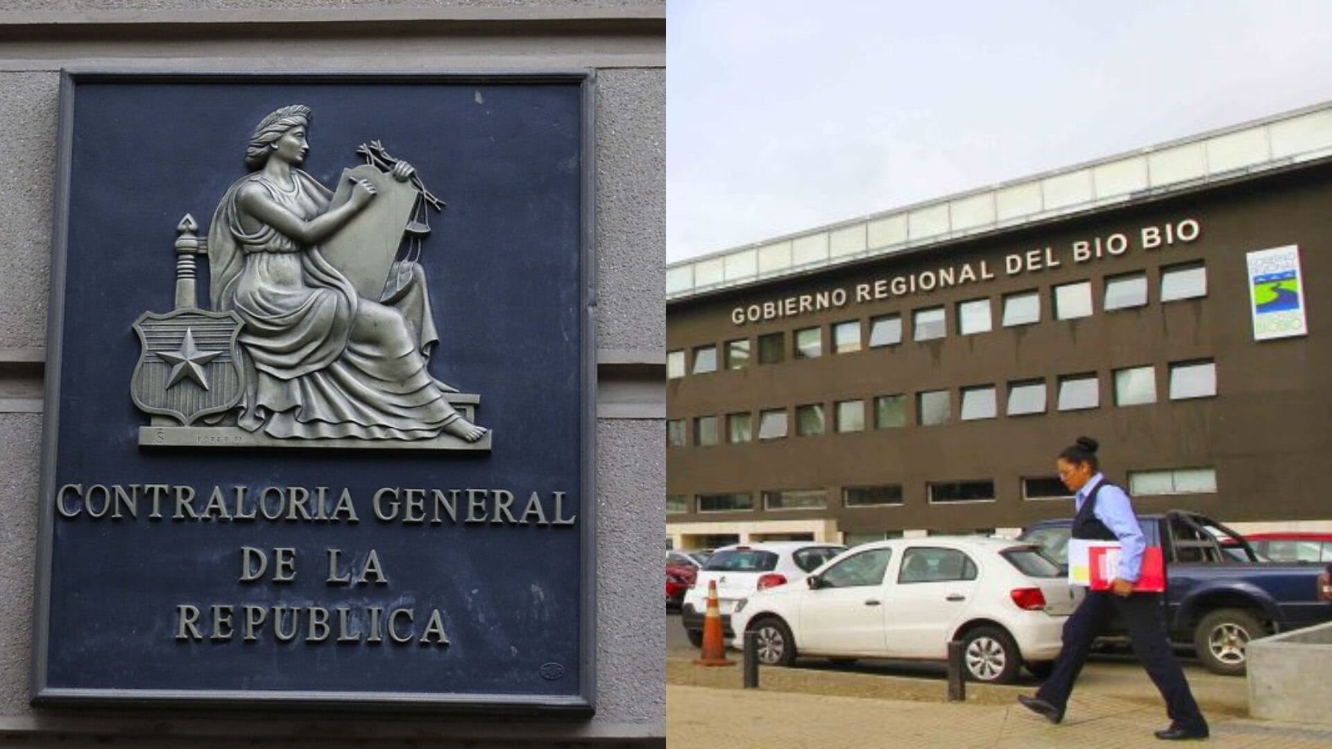 Contraloría pide destitución de encargado de Pesca del Gobierno Regional del Biobío