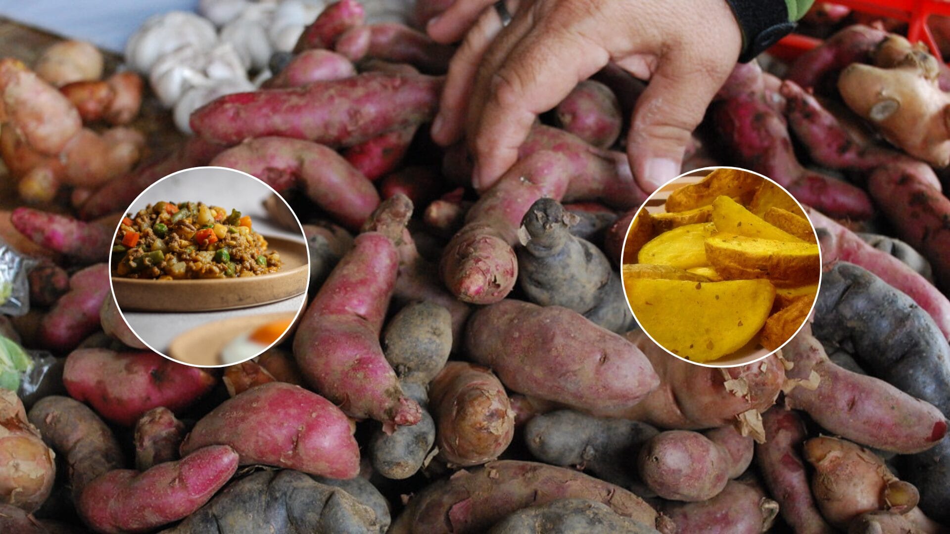 Papas mapuches: Su influencia en la gastronomía tradicional