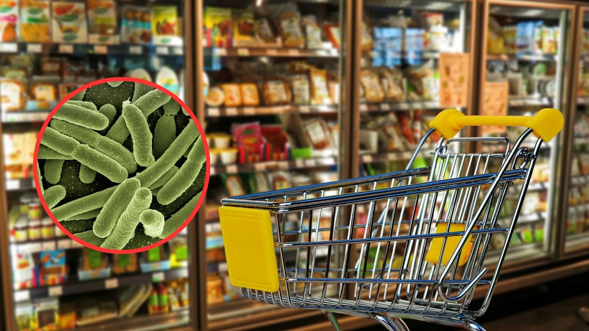 Amplían alerta por Listeria para el Biobío: Este es el alimento al que debes prestar atención