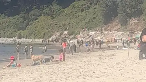 Persona pierde la vida tras ahogarse en la costa de Lirquén