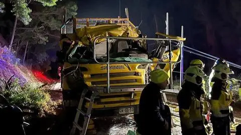Insólito accidente en Ruta de La Madera: Árbol cayó e impactó justo sobre camión en movimiento