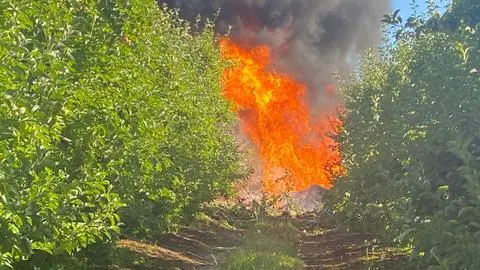 Se incendió tras el impacto: Avioneta capotó con cuatro ocupantes a bordo en Freire