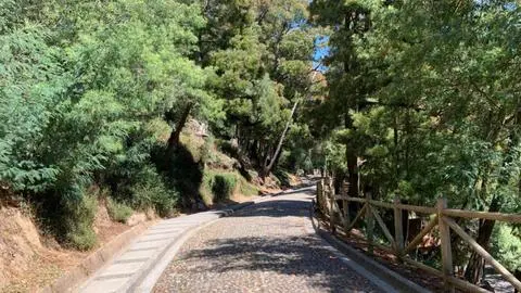 Joven acusó “ausencia total de protocolo” tras sufrir intento de violación en el Cerro Caracol de Concepción