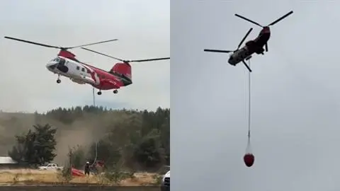 Equipos de CMPC continúan combatiendo el incendio en Los Sauces en La Araucanía