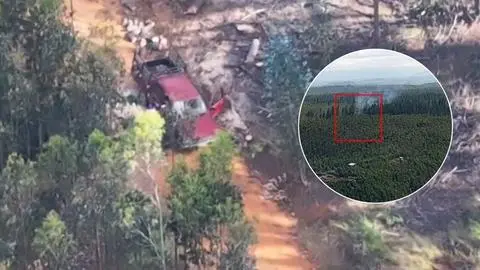 Sorprenden a sujetos talando árboles en predio de Curanilahue: Una hora después y a metros del lugar se reportó incendio