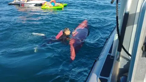 Quién es la joven desaparecida en el Lago Villarrica: Realizan importante hallazgo