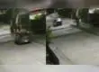 Tras las rejas quedó el chófer que atropelló fatalmente a menor de 17 años en Las Salinas de Talcahuano