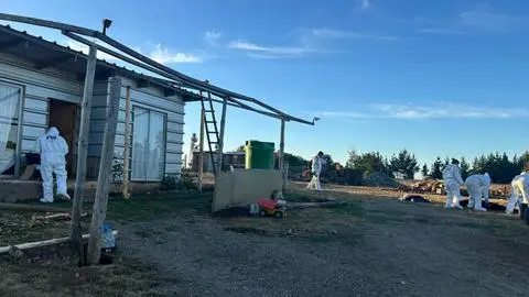 Femicidio conmociona a La Araucanía: Hombre mató a su pareja y luego se quitó la vida